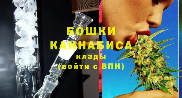 дурь Осинники